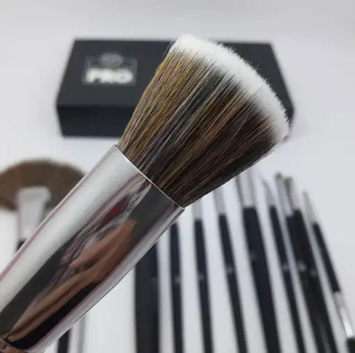 Pro studio 13pcs Brushes Set